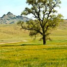 West Butte Spring